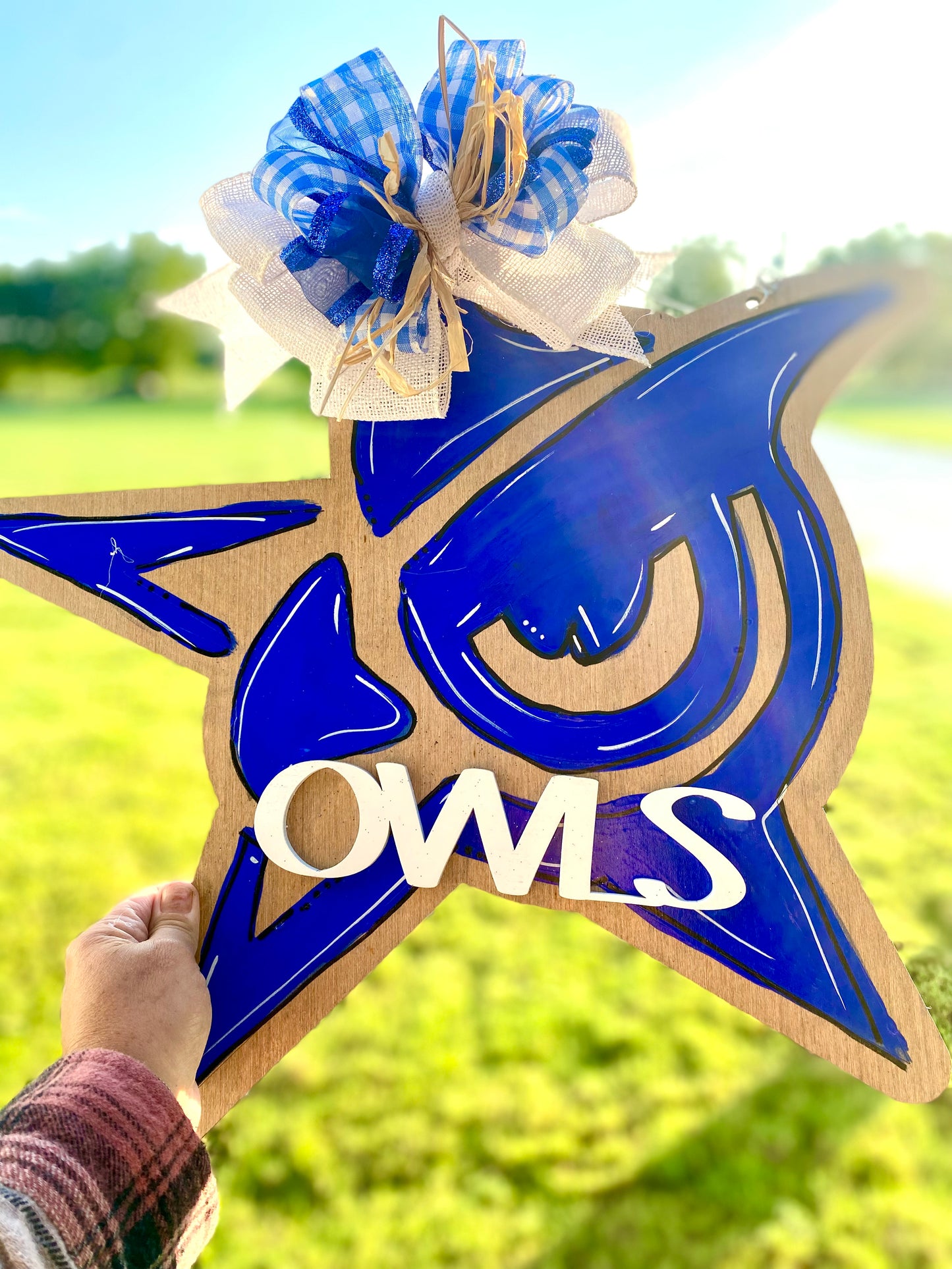 Owls Door Hanger