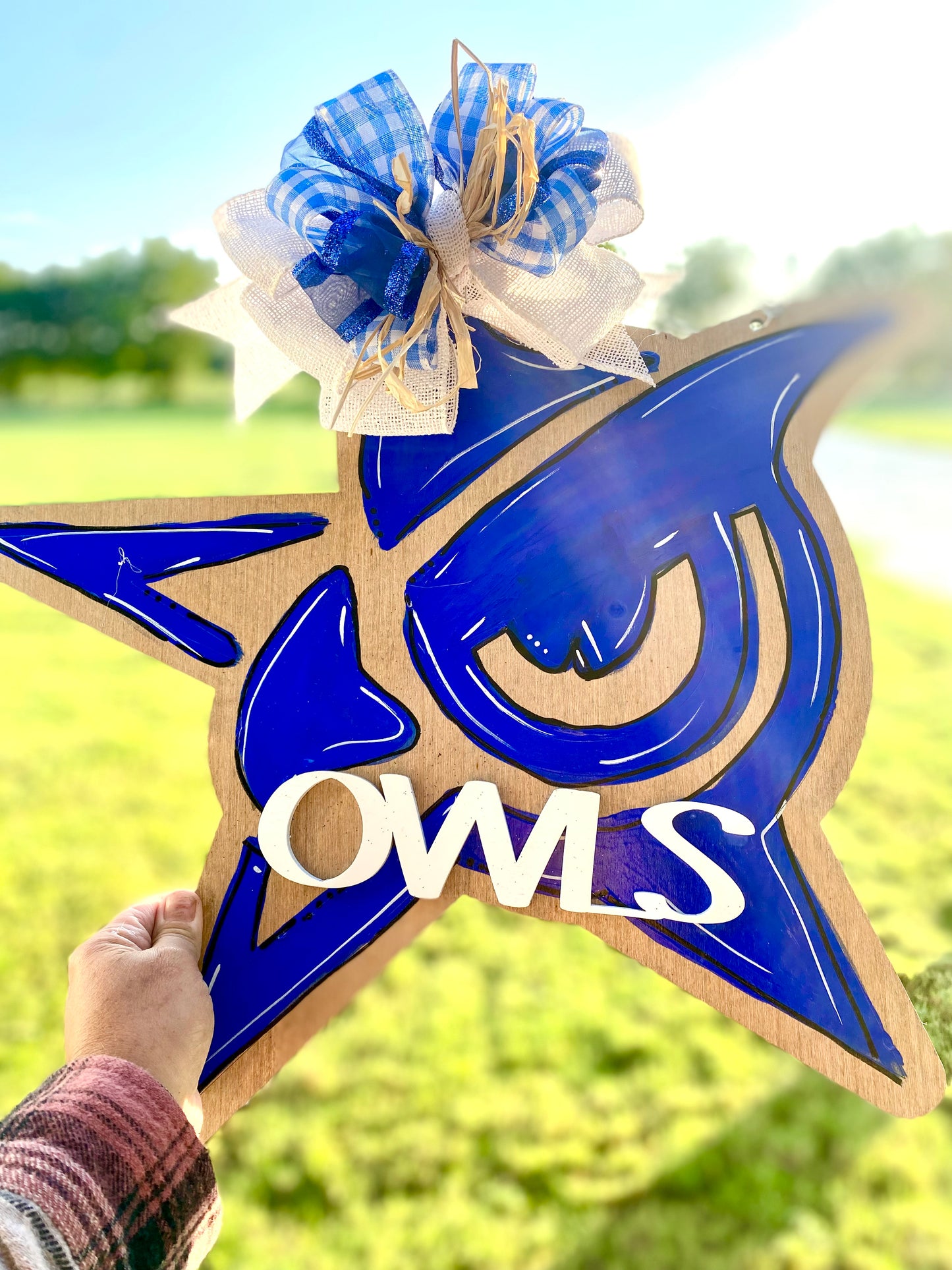 Owls Door Hanger